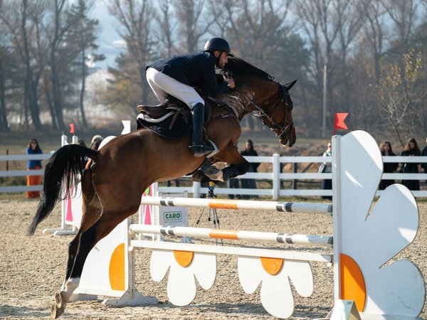 Le rôle des médias dans la promotion du combat national